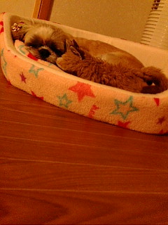�O�ցO���