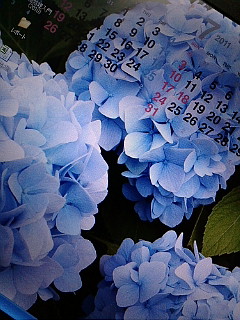 �L///�M