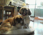 (untitled)