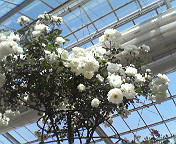 (untitled)