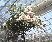 (untitled)
