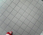 �����Ă��܁I