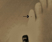 �n�C�؂�Ă܂�