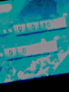 �����̓V�C