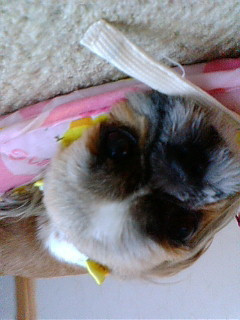 �O�́O