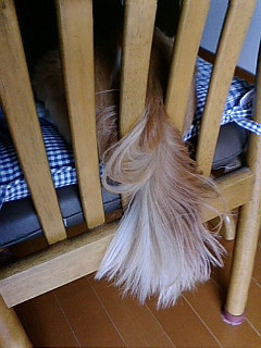 �l���Q������