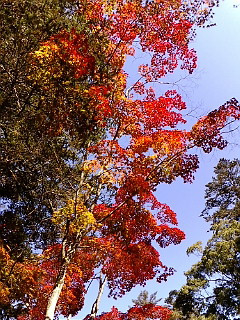 (untitled)
