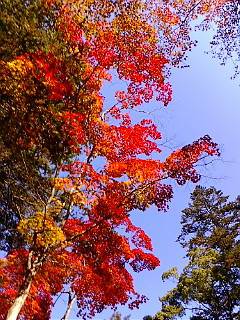 (untitled)