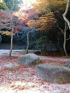 (untitled)