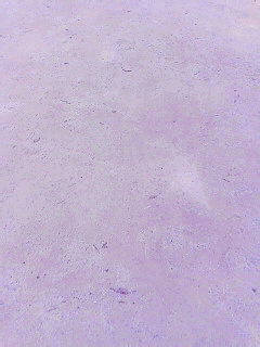 �C�G�C�I