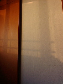 �T���C