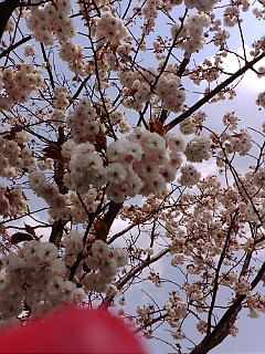 (untitled)