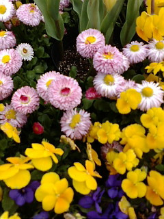 (untitled)