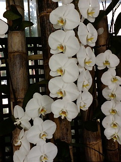 (untitled)