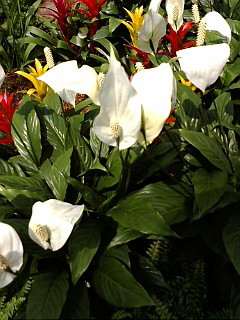 (untitled)