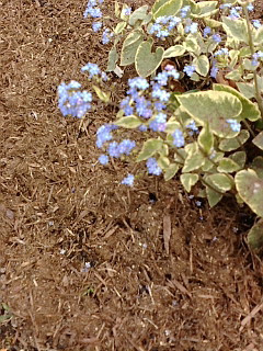 (untitled)
