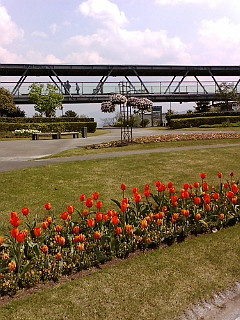 (untitled)