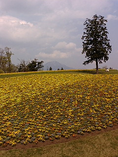 (untitled)