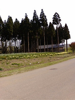 (untitled)