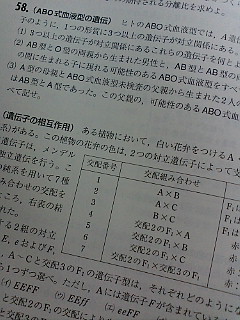 ����فS(^��^)�m�I